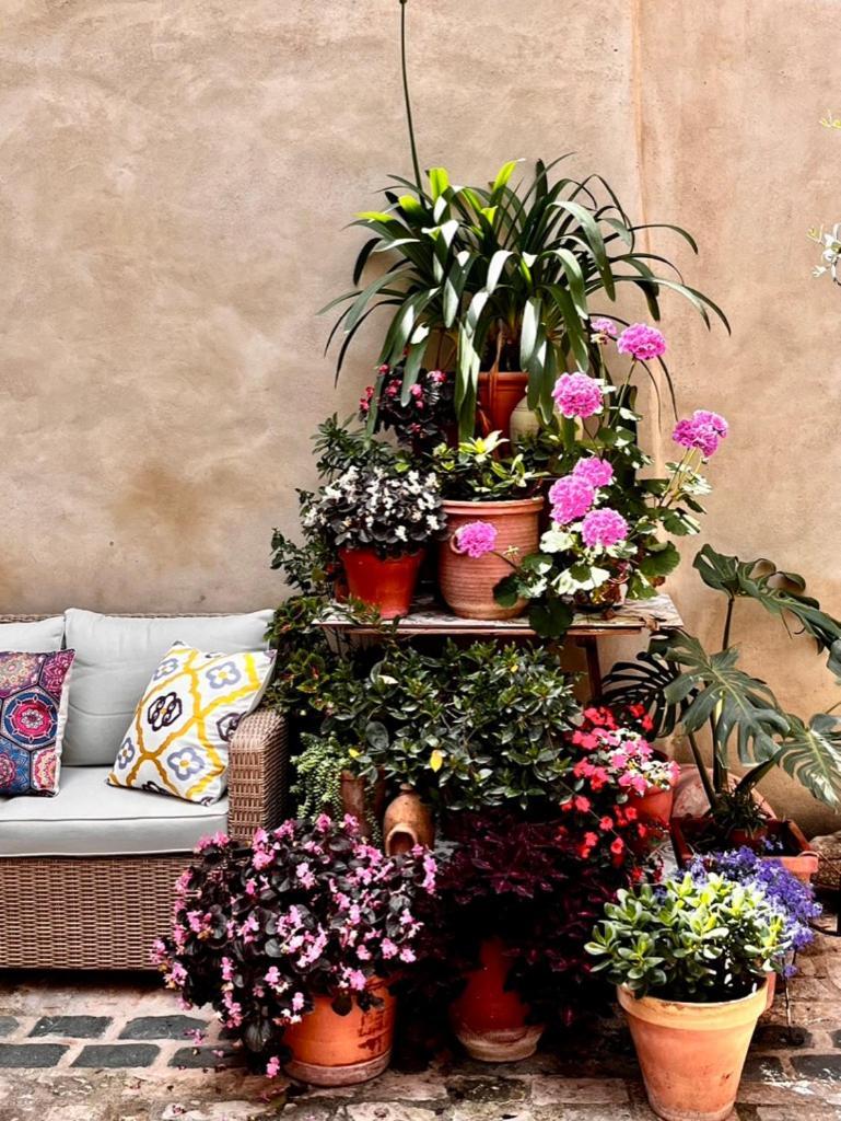 Oliva Courtyard Guesthouse Luaran gambar